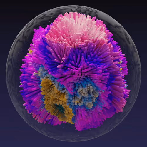 Asm Brains