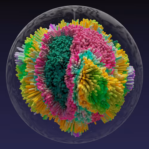 Asm Brains