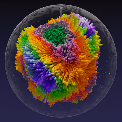 Asm Brains