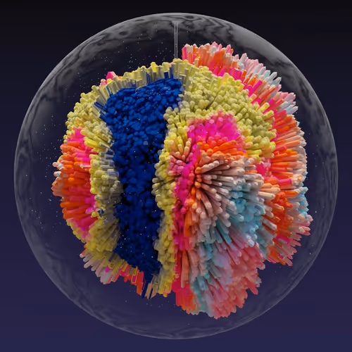 Asm Brains