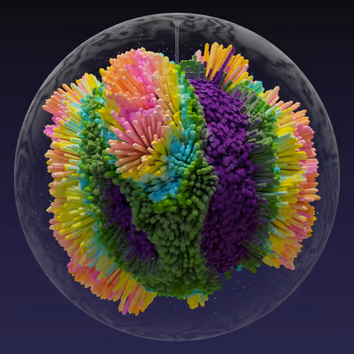 Asm Brains