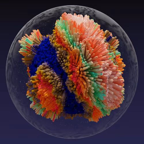 Asm Brains