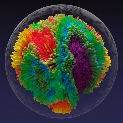 Asm Brains
