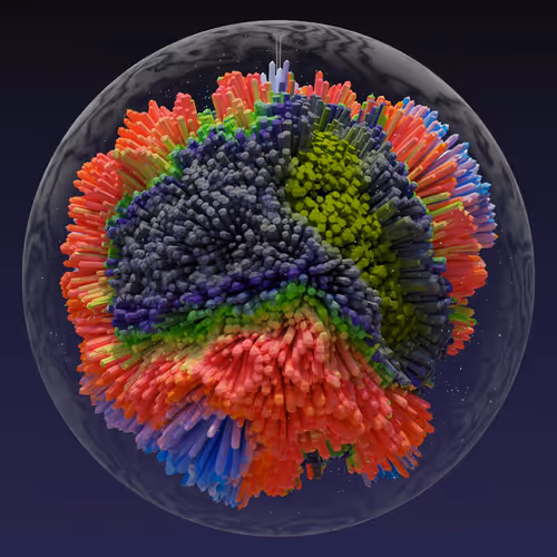 Asm Brains
