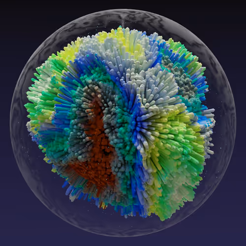 Asm Brains
