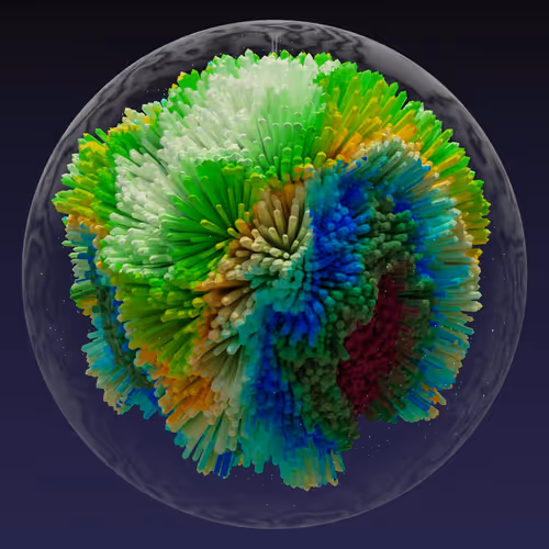Asm Brains