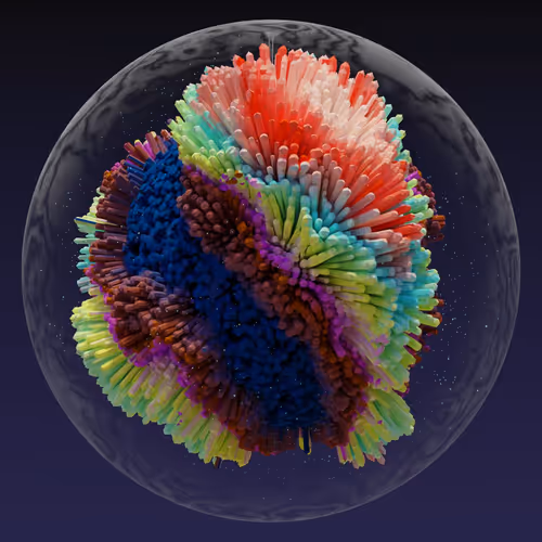 Asm Brains