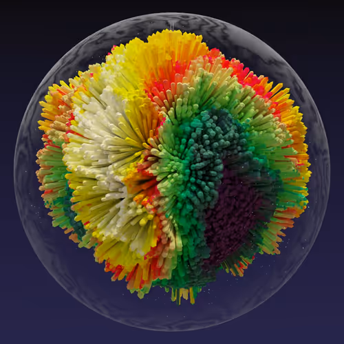 Asm Brains