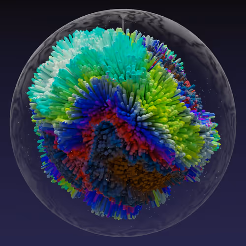 Asm Brains