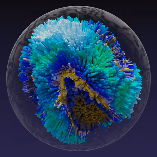 Asm Brains