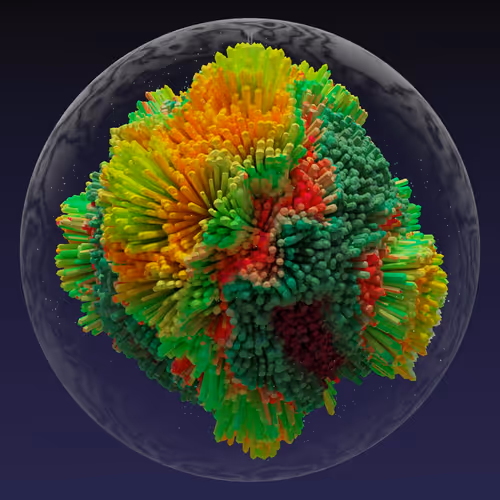 Asm Brains