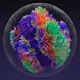 5243