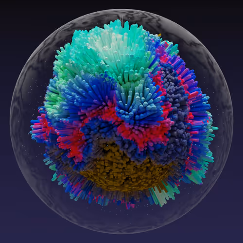 Asm Brains