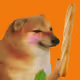 446