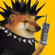 1169