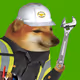491