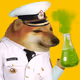 394