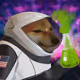 1747