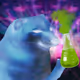 2081