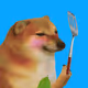 216
