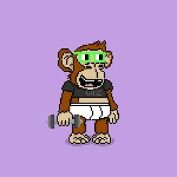 Alpha Hype Diaper Apes #560