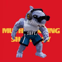 SBFC VX #4649