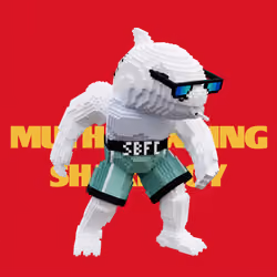 SBFC VX #1323