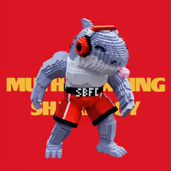 SBFC VX #441
