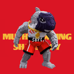SBFC VX #5051