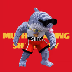 SBFC VX #5458