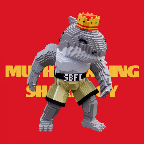 SBFC VX #6263