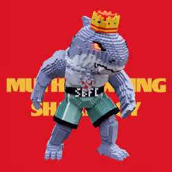 SBFC VX #4528