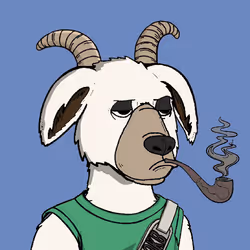 519
