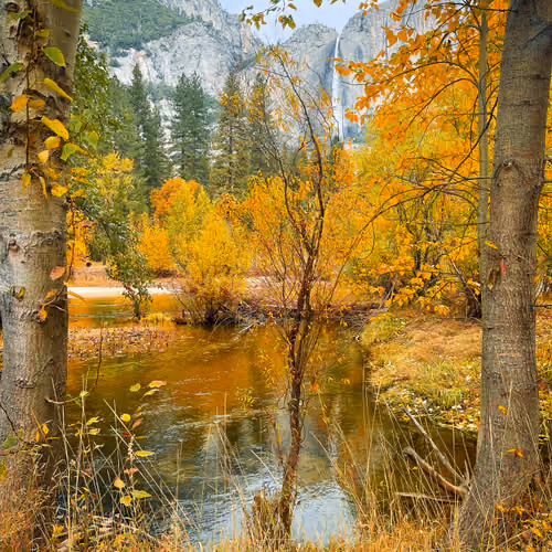 A fellow said yellow is mellow