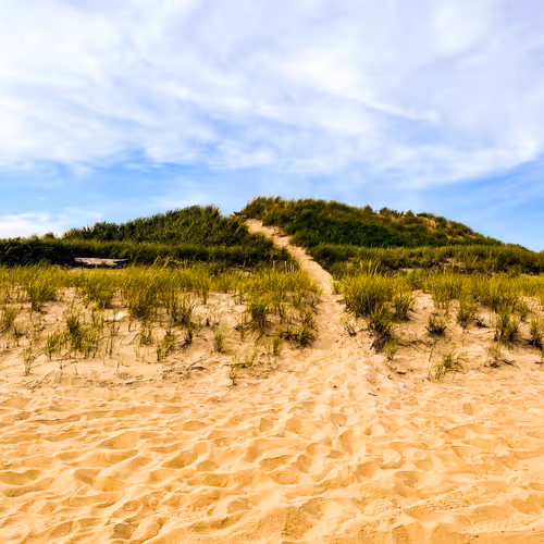 80