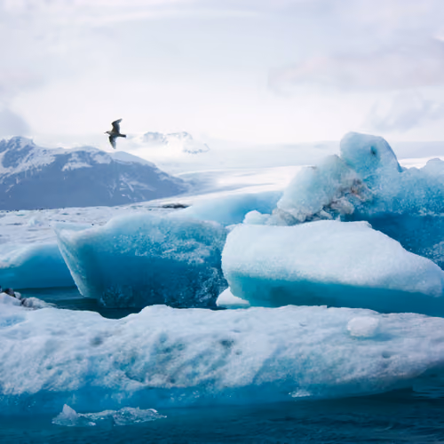 There is ice in Iceland