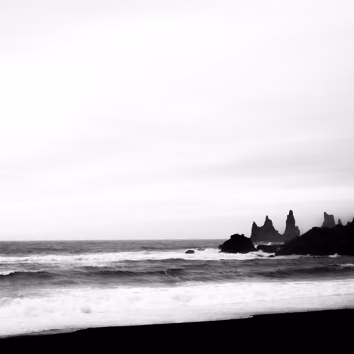 Black & White C