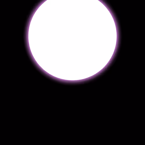 81