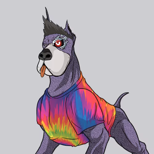 Hound Yacht Club