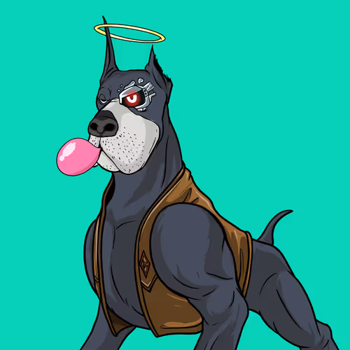 Hound Yacht Club