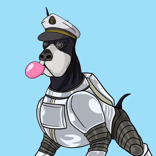 Hound Yacht Club