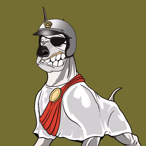 Hound Yacht Club