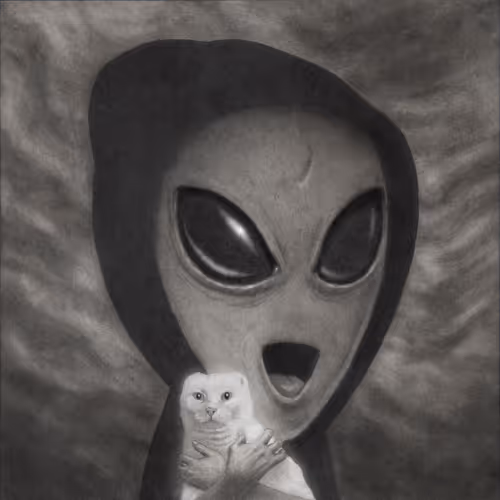 Shawry's Visitor