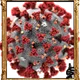 66046