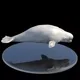 567399