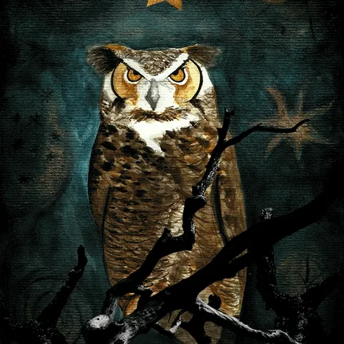 Night fearless