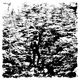 62908