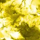 319
