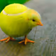 648262