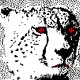 78882